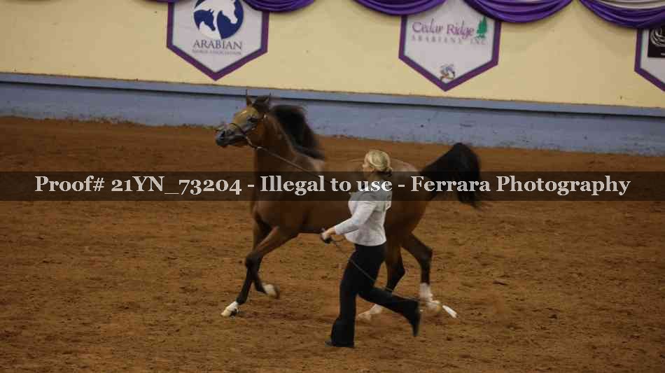 Proof 21YN_73204