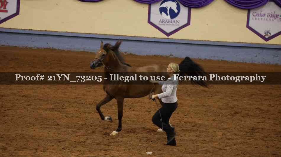 Proof 21YN_73205