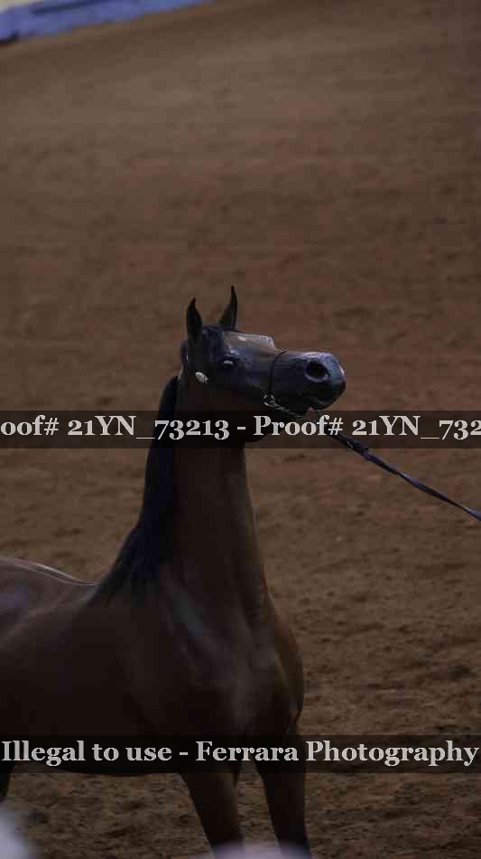 Proof 21YN_73213