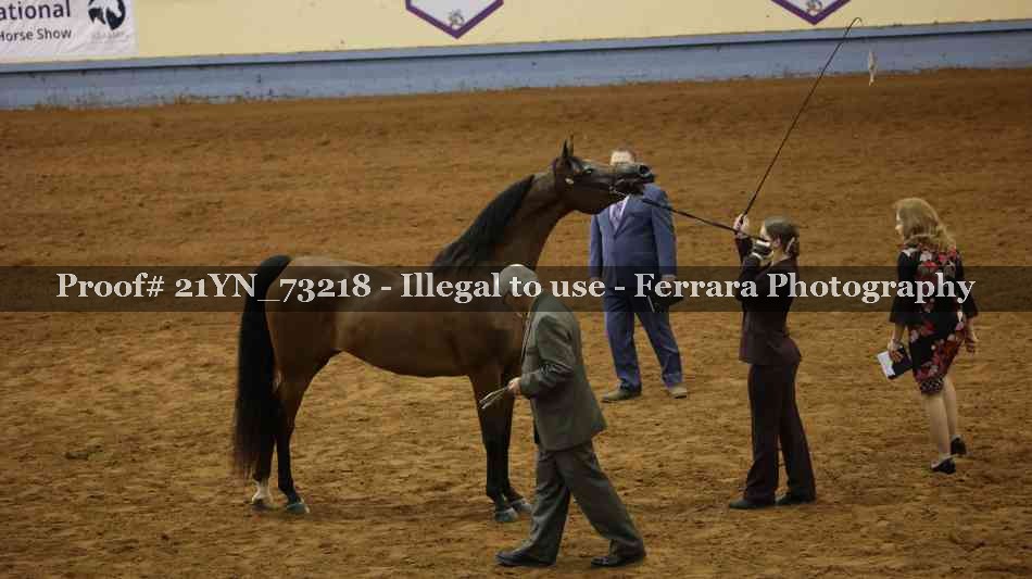 Proof 21YN_73218