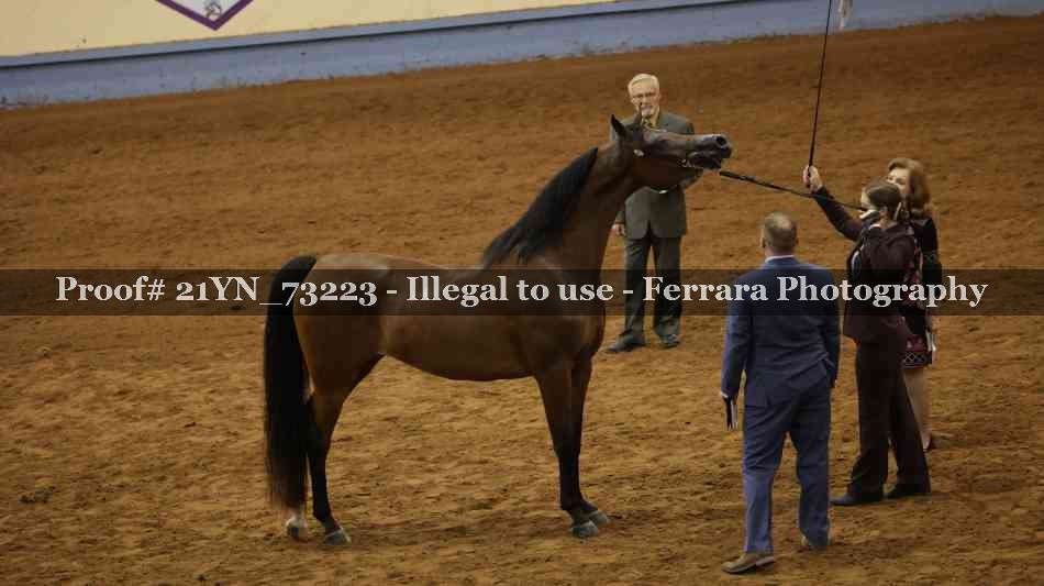Proof 21YN_73223