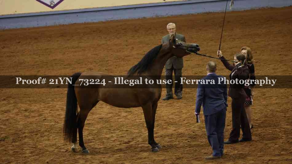 Proof 21YN_73224