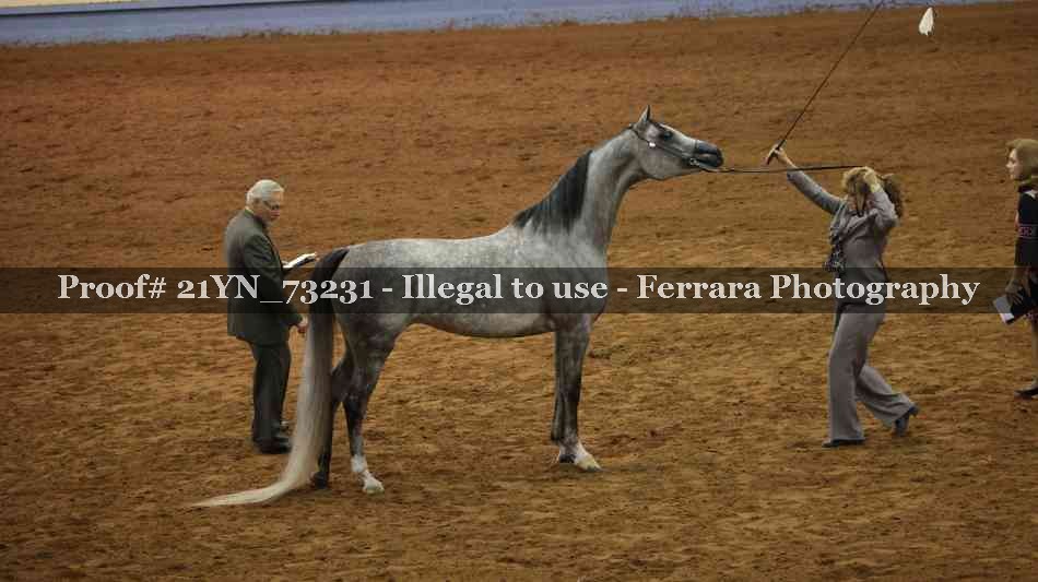 Proof 21YN_73231