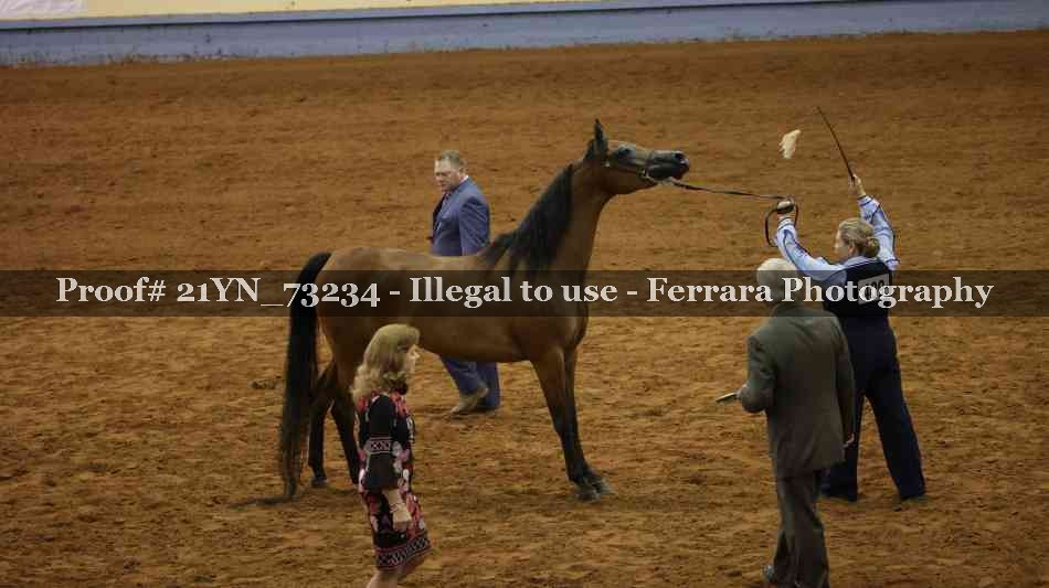 Proof 21YN_73234