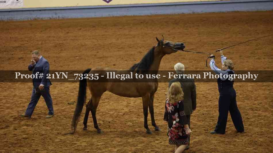 Proof 21YN_73235