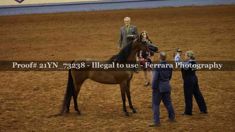 Proof 21YN_73238