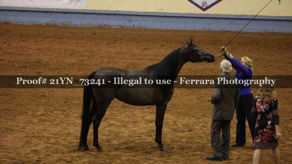 Proof 21YN_73241