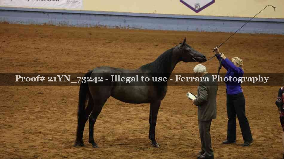 Proof 21YN_73242
