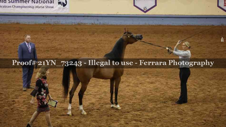 Proof 21YN_73243