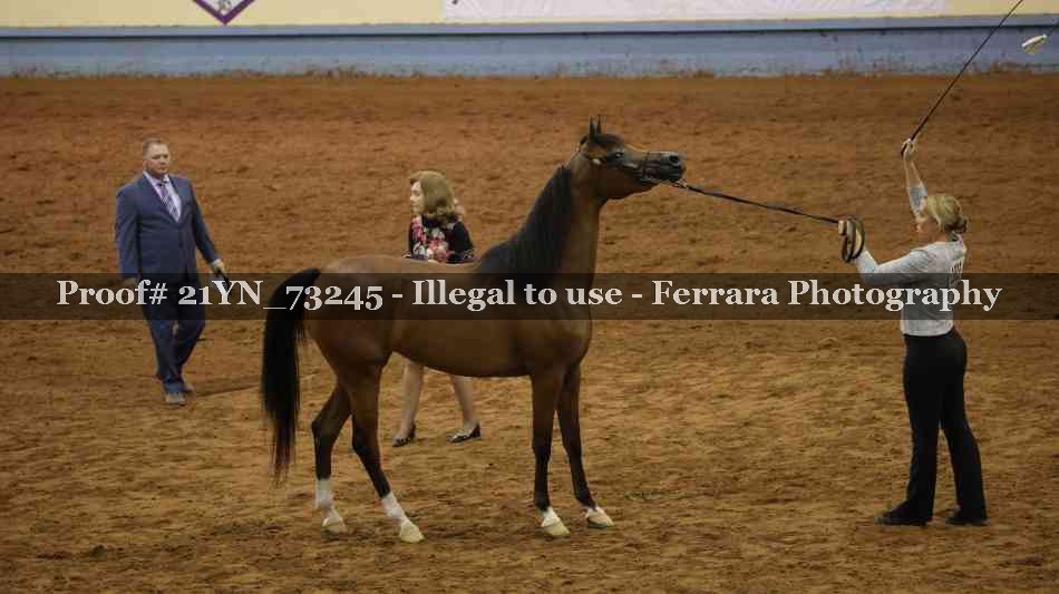 Proof 21YN_73245