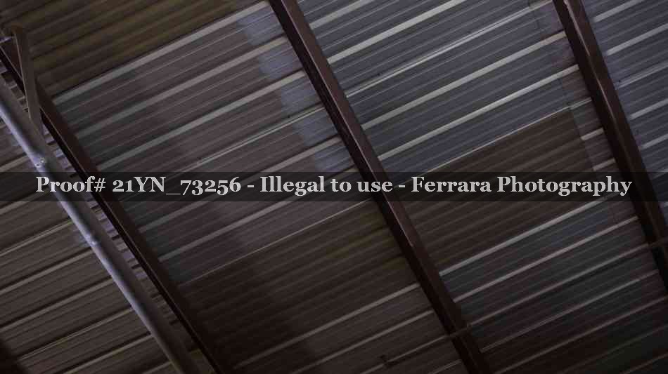 Proof 21YN_73256