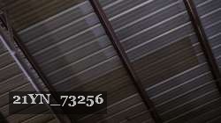 21YN_73256 proof
