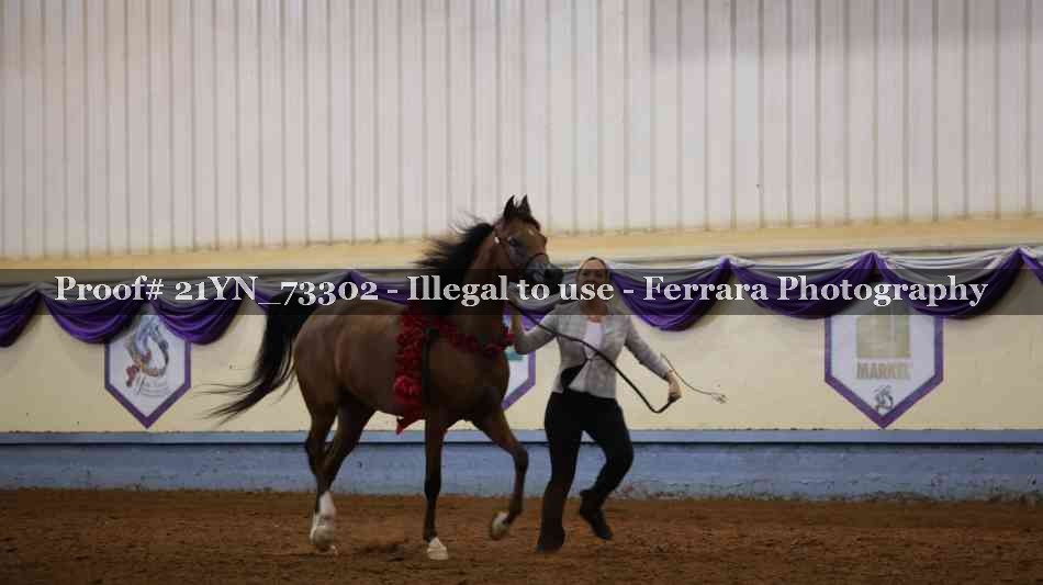 Proof 21YN_73302