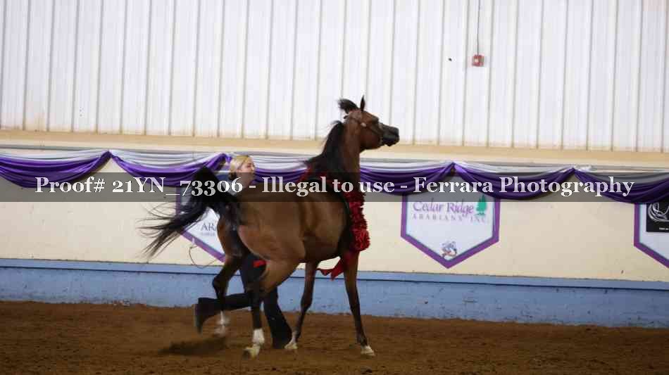 Proof 21YN_73306
