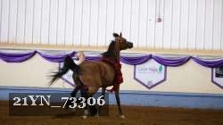 21YN_73306 proof