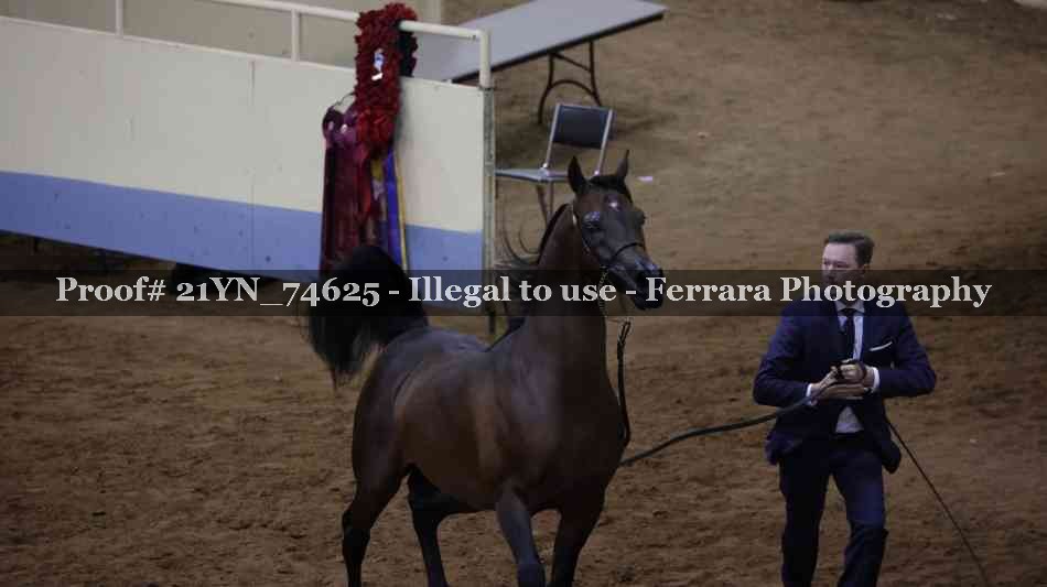 Proof 21YN_74625