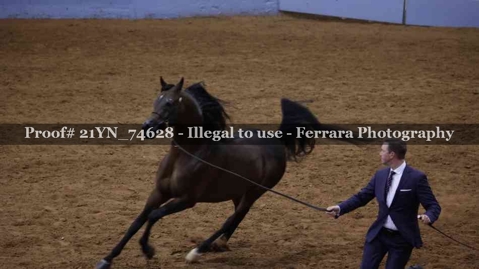 Proof 21YN_74628