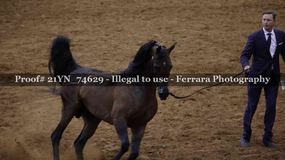 Proof 21YN_74629