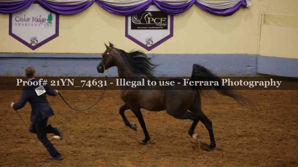 Proof 21YN_74631