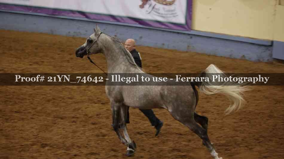 Proof 21YN_74642