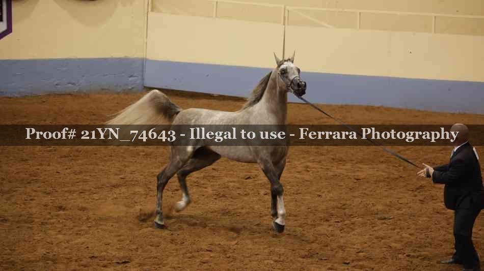 Proof 21YN_74643