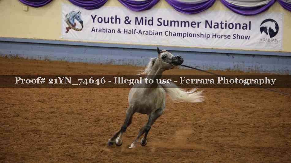 Proof 21YN_74646