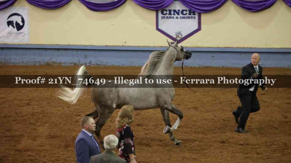 Proof 21YN_74649