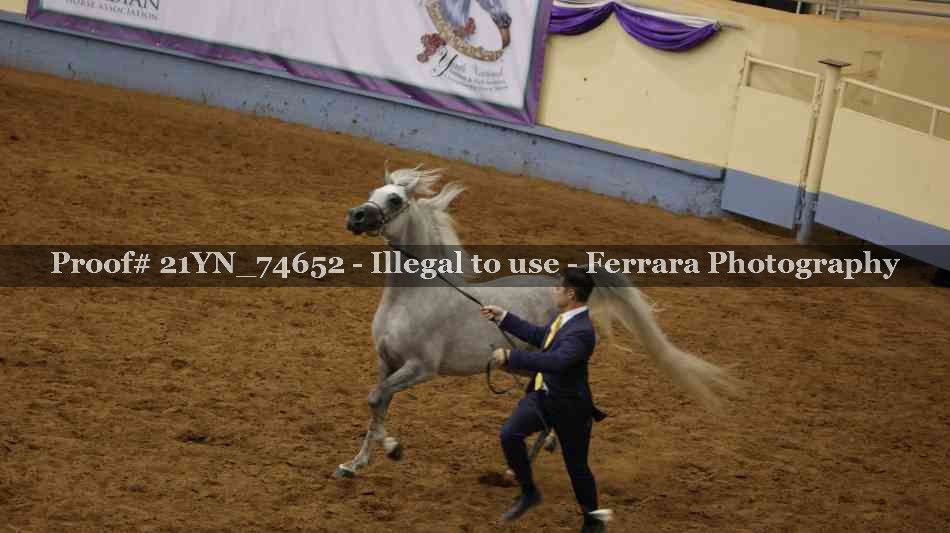 Proof 21YN_74652