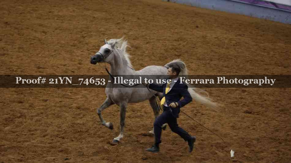 Proof 21YN_74653