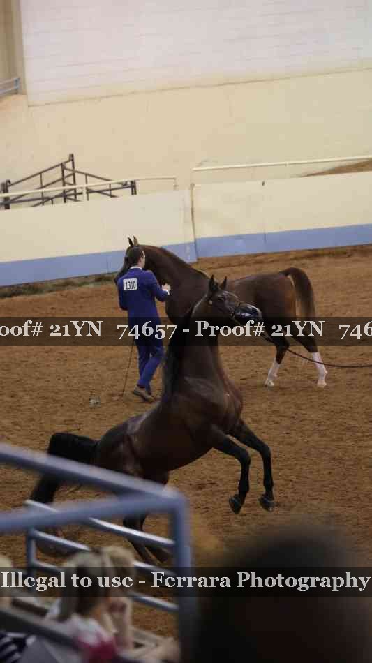 Proof 21YN_74657