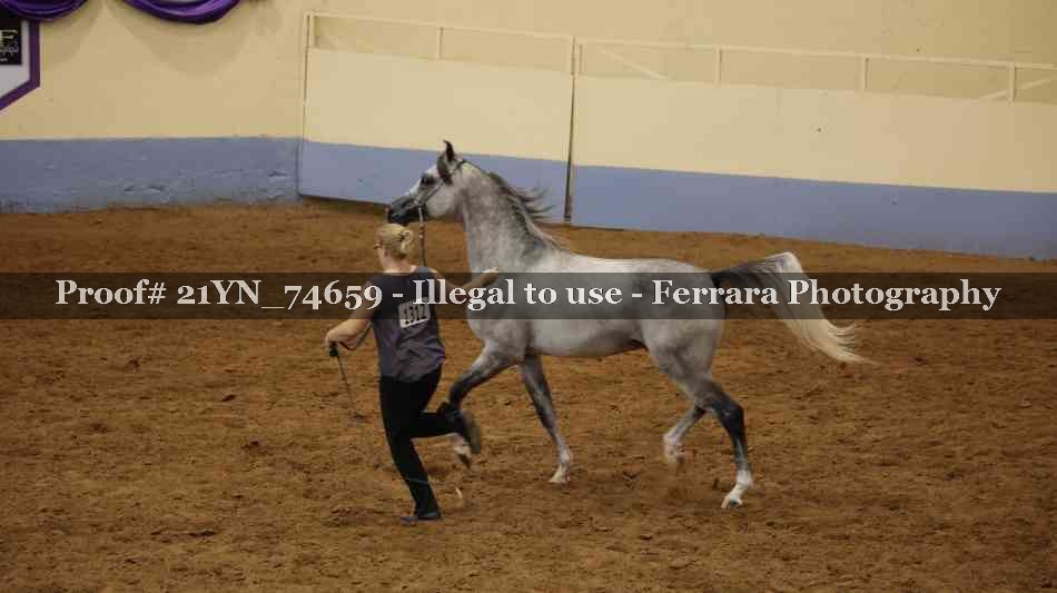 Proof 21YN_74659
