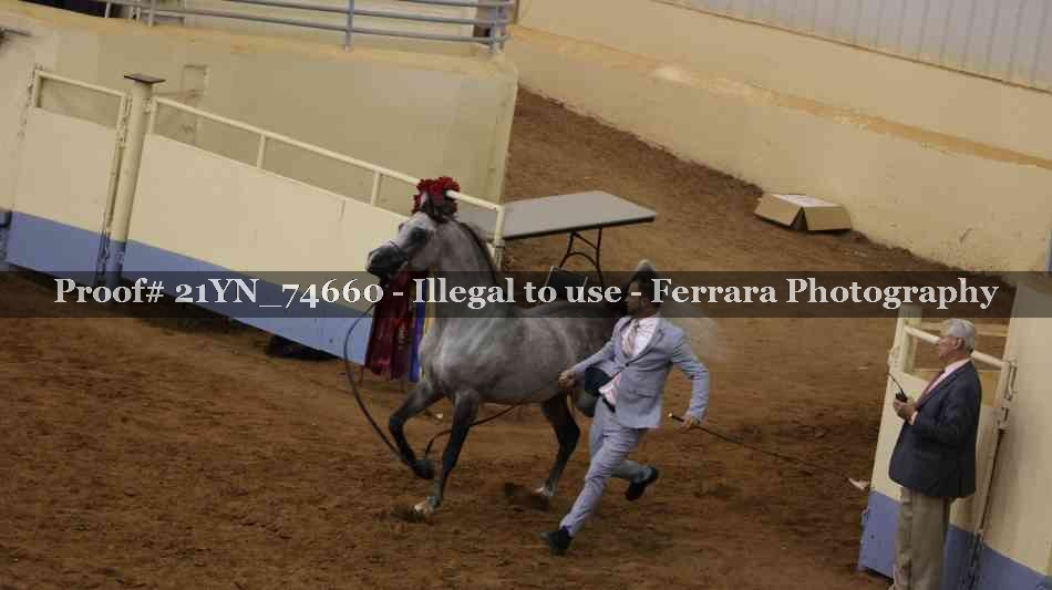 Proof 21YN_74660