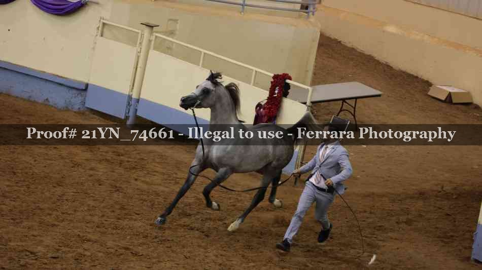 Proof 21YN_74661