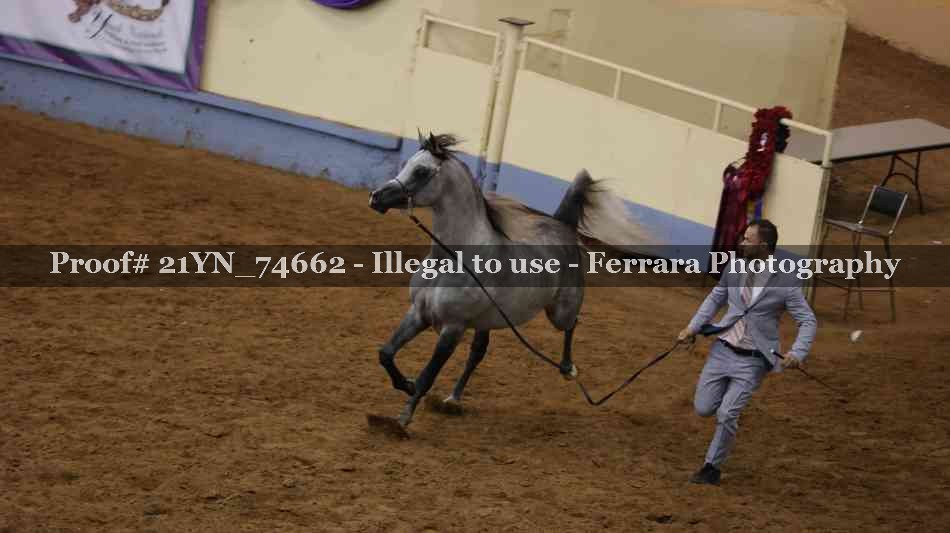 Proof 21YN_74662