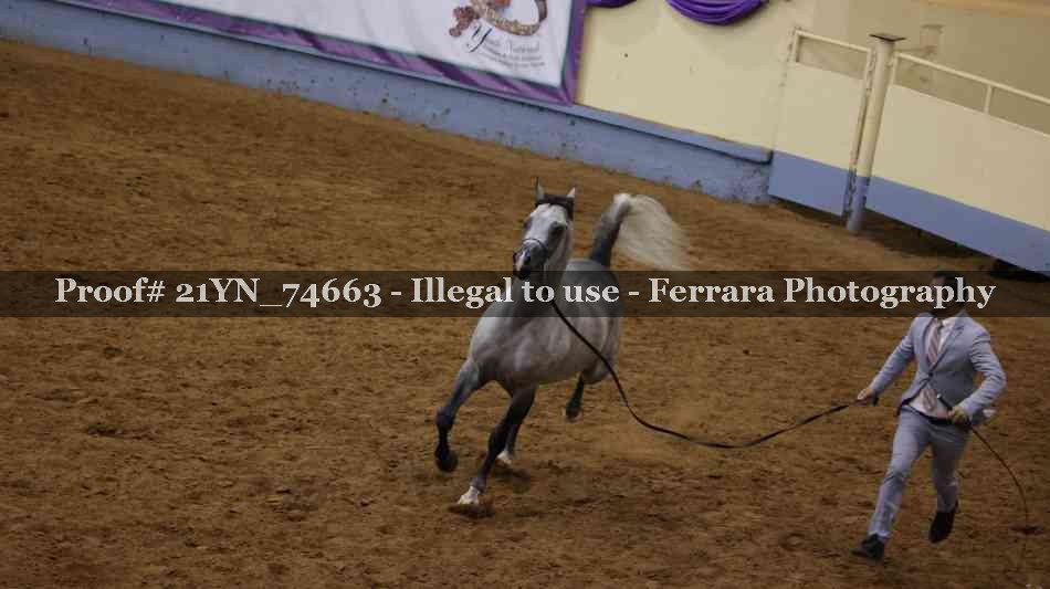 Proof 21YN_74663