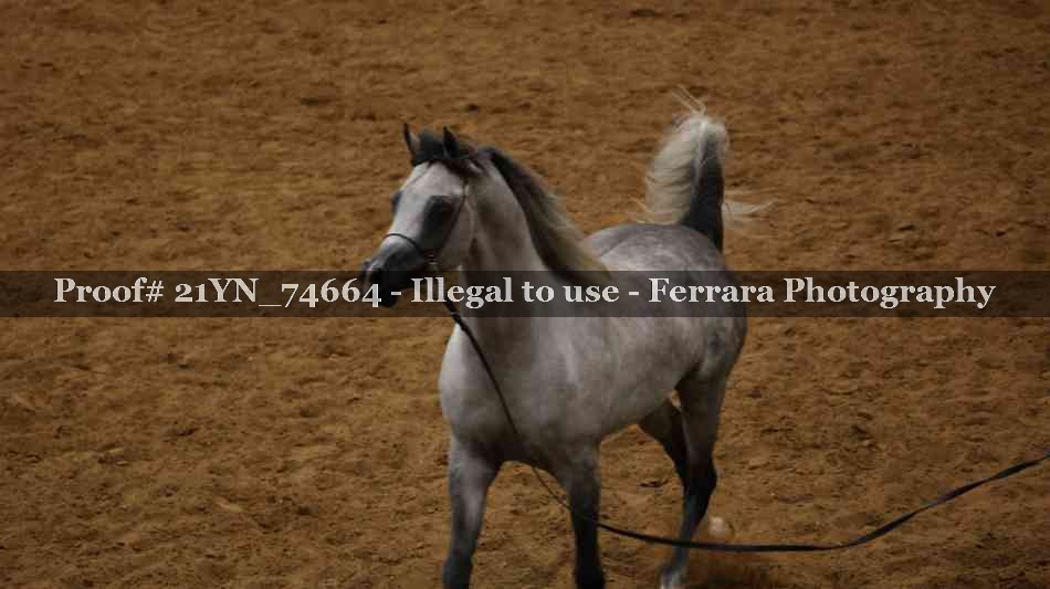 Proof 21YN_74664