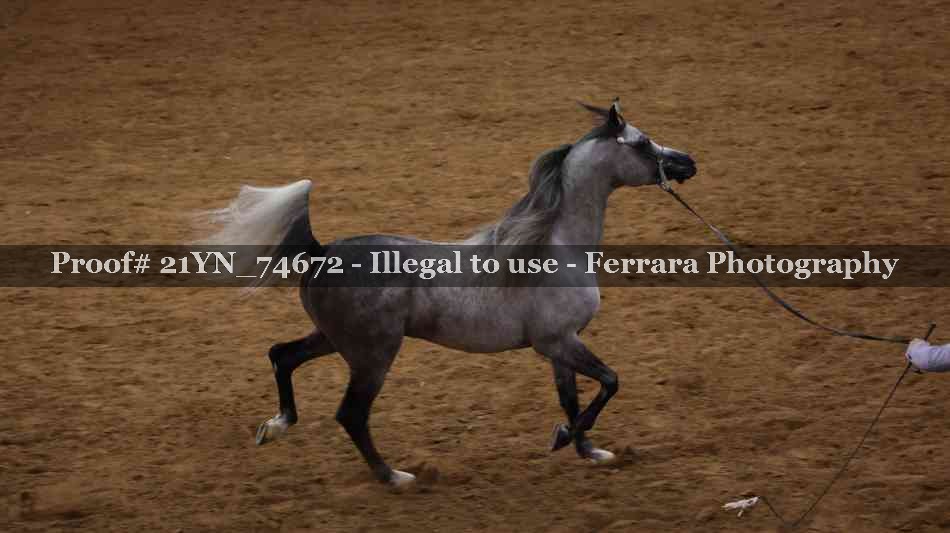 Proof 21YN_74672