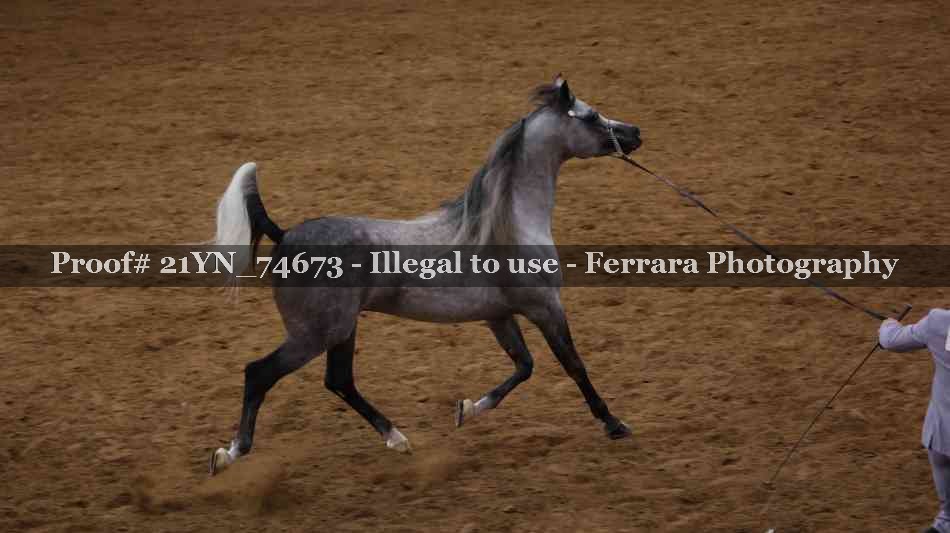 Proof 21YN_74673