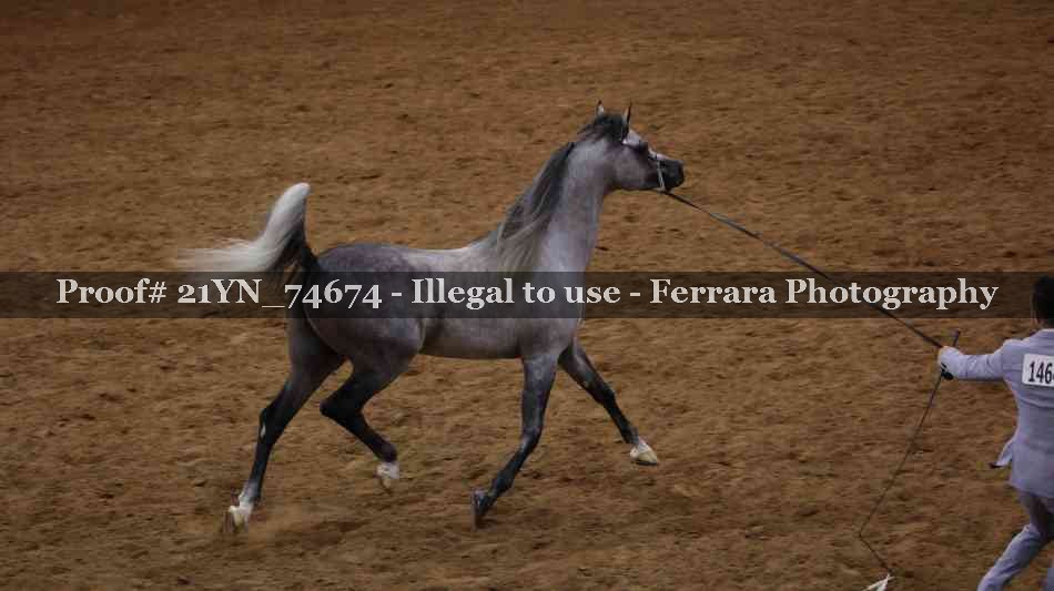 Proof 21YN_74674
