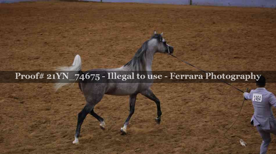 Proof 21YN_74675