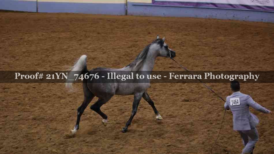 Proof 21YN_74676