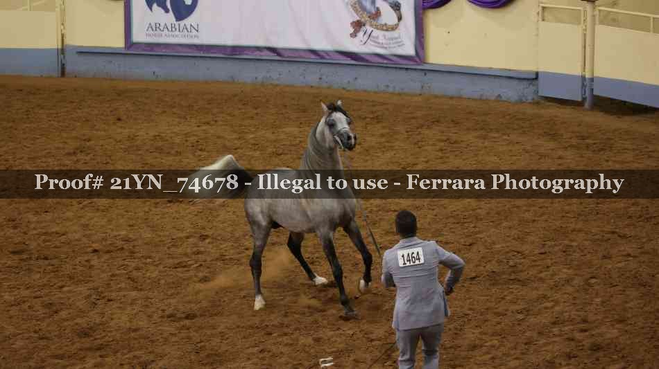 Proof 21YN_74678
