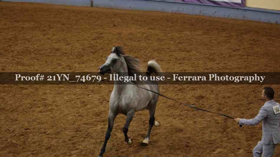 Proof 21YN_74679
