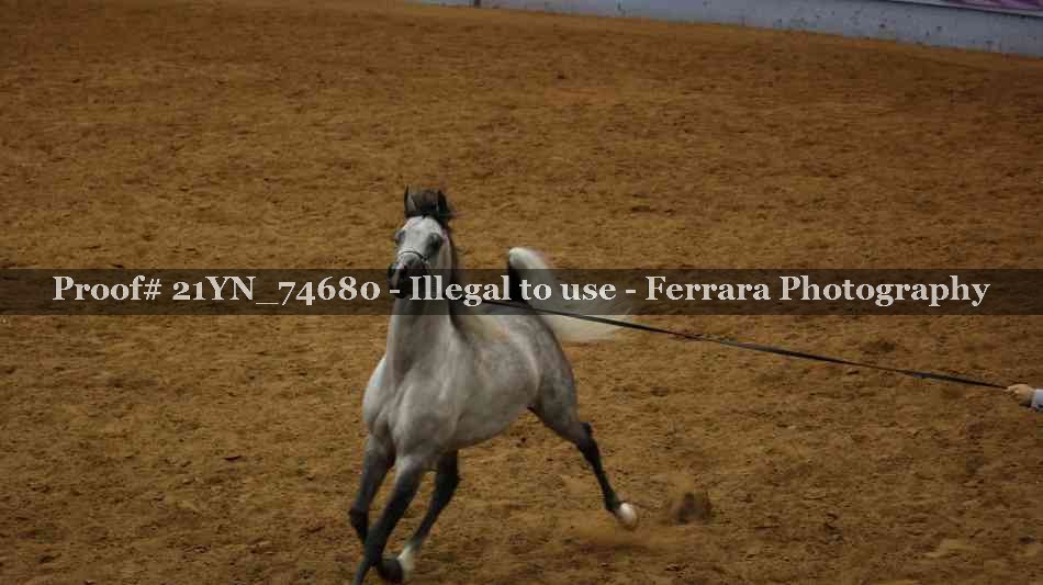 Proof 21YN_74680