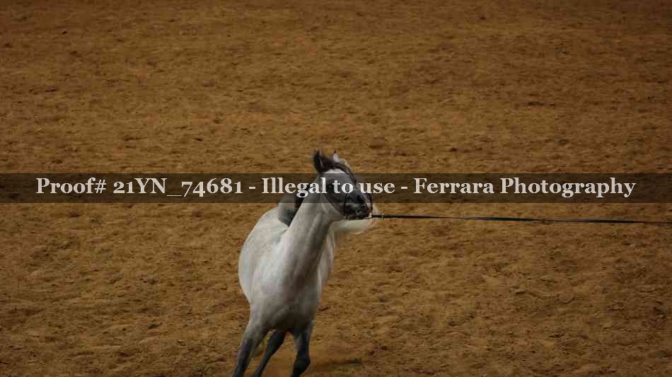 Proof 21YN_74681