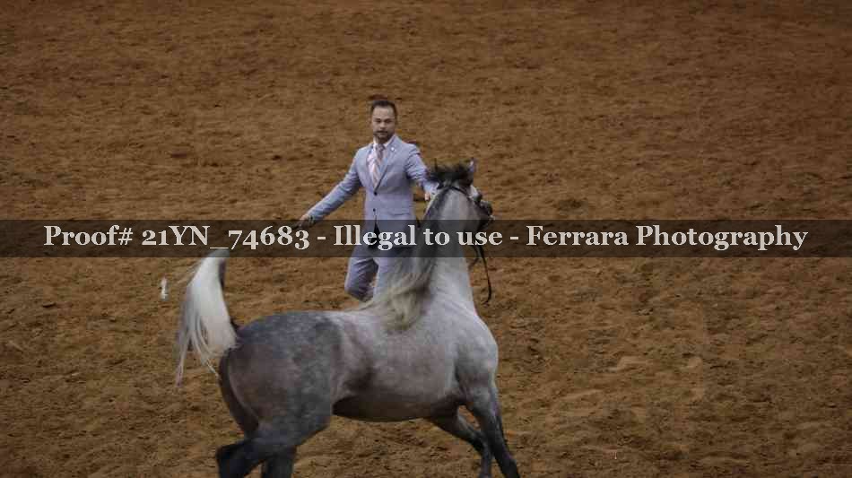 Proof 21YN_74683