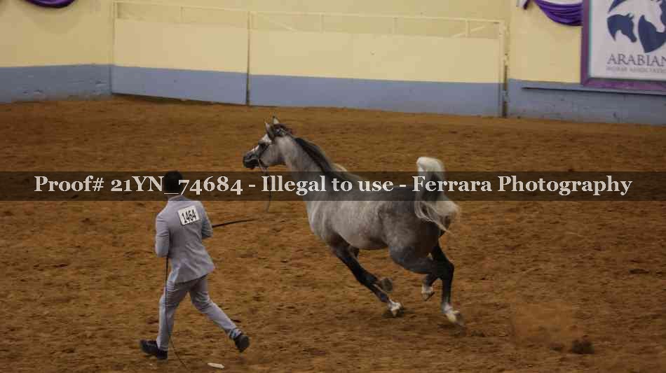 Proof 21YN_74684