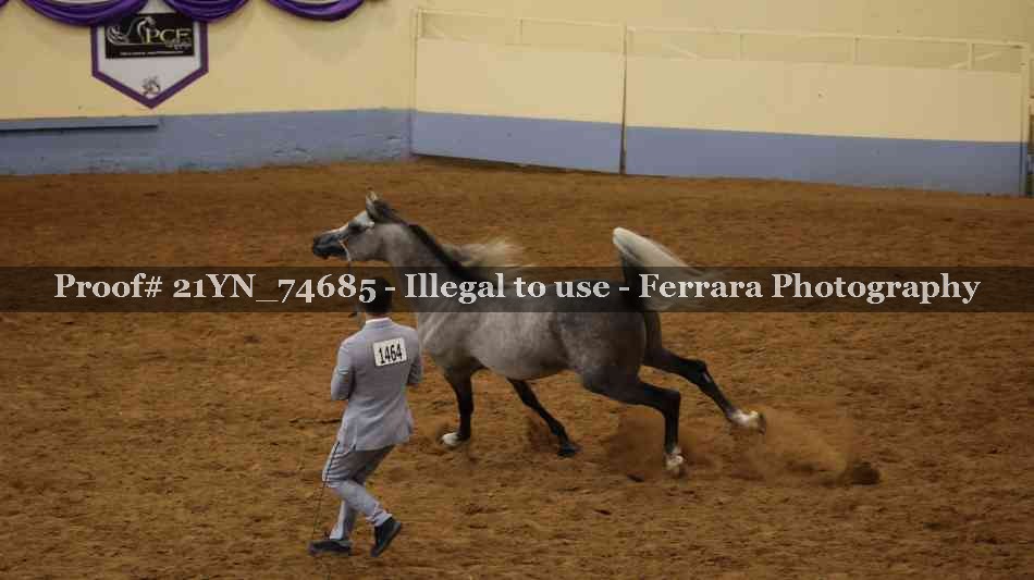 Proof 21YN_74685