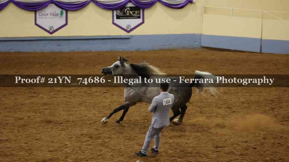 Proof 21YN_74686