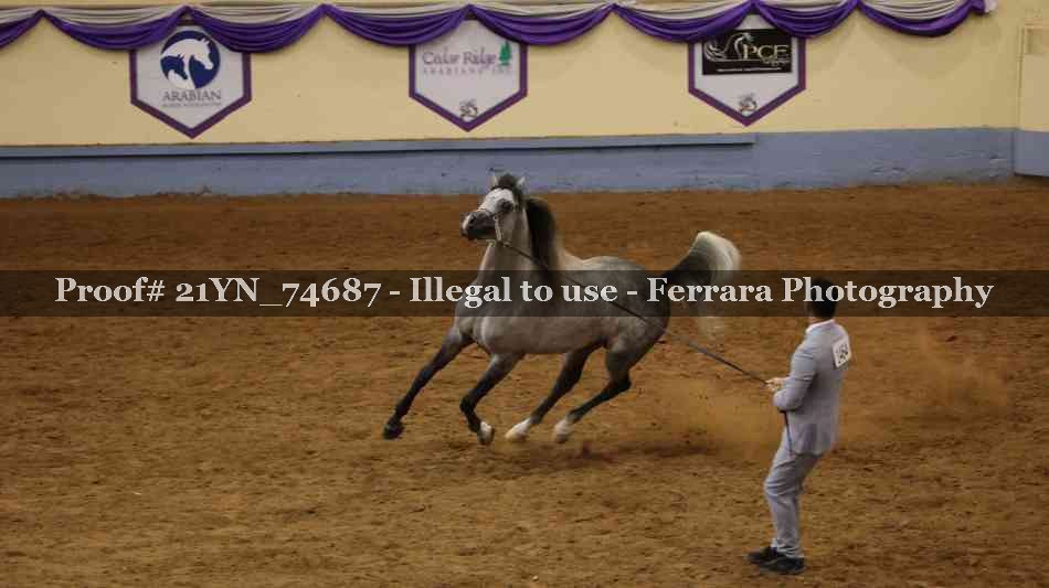 Proof 21YN_74687
